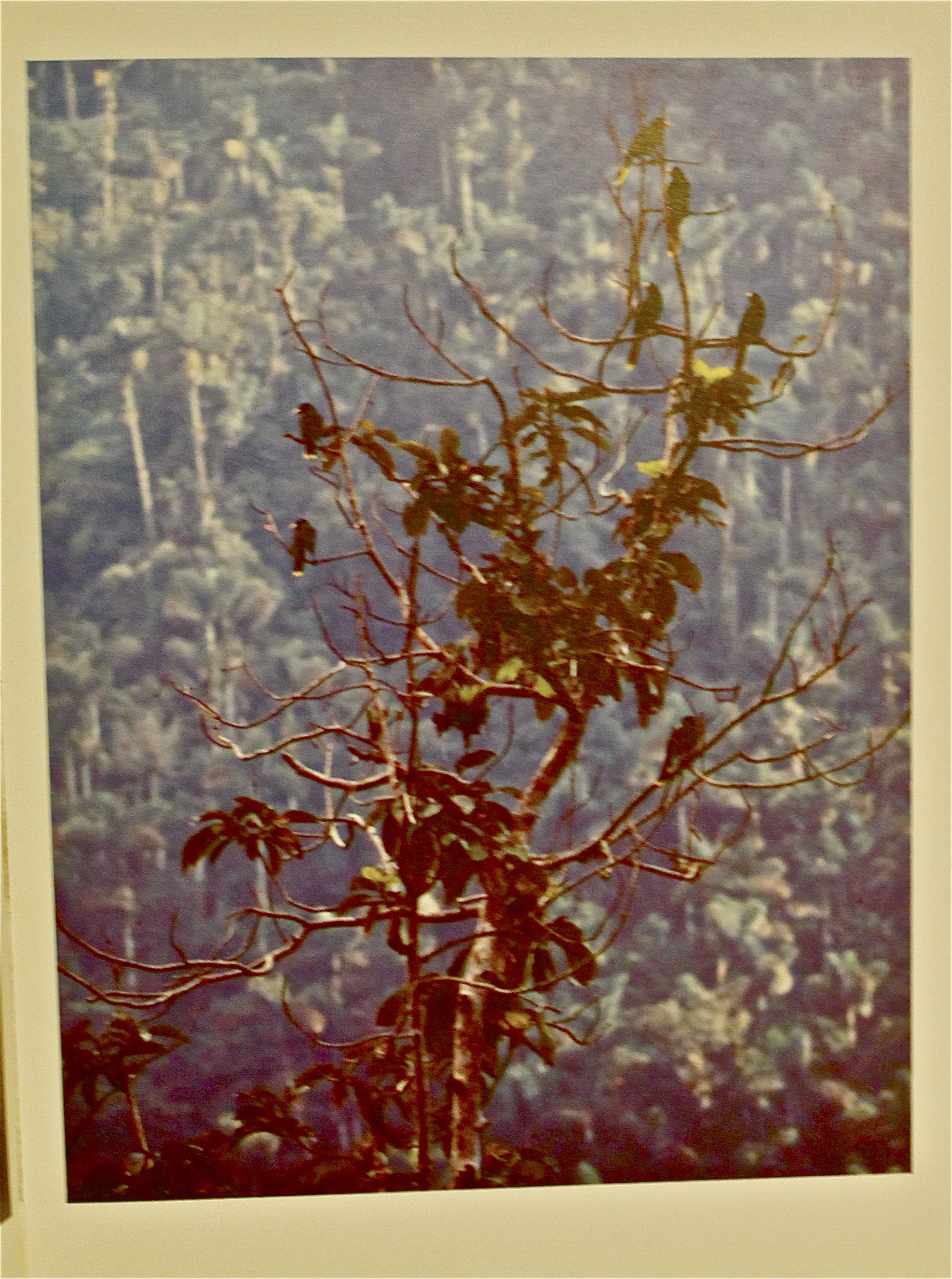 Image for La Sierra Nevada de Santa Marta