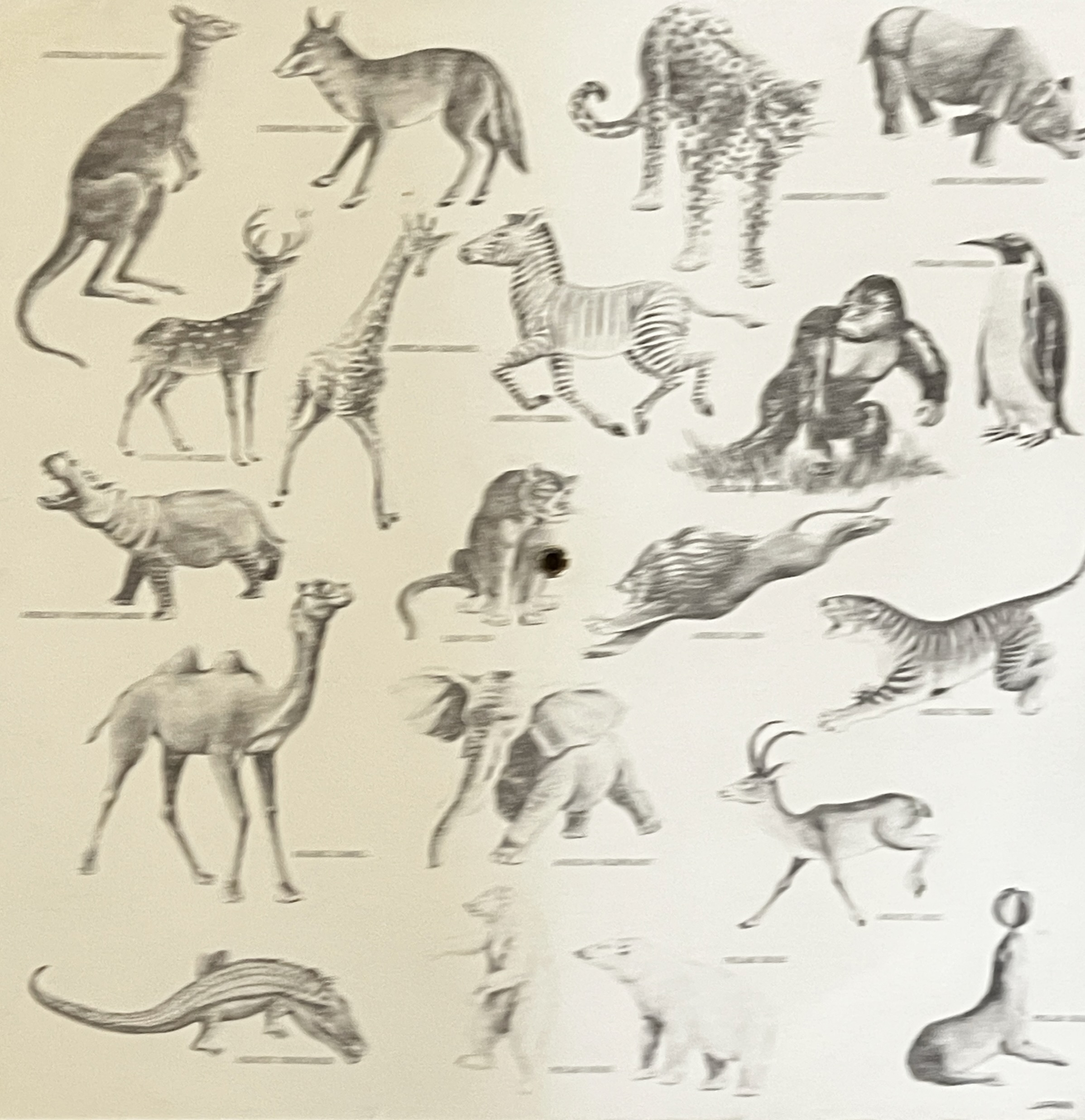 The Zoo Wheel Animal Vovelle