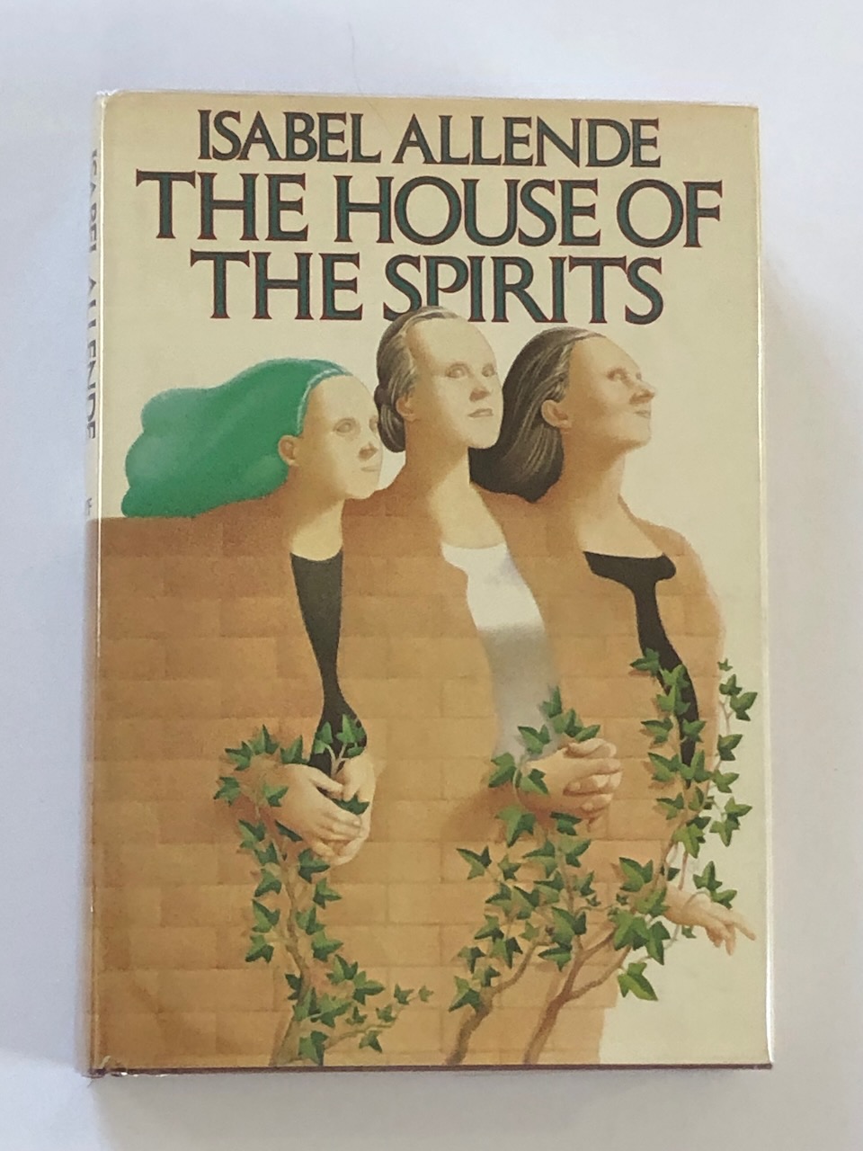 Image for The House of Spirits