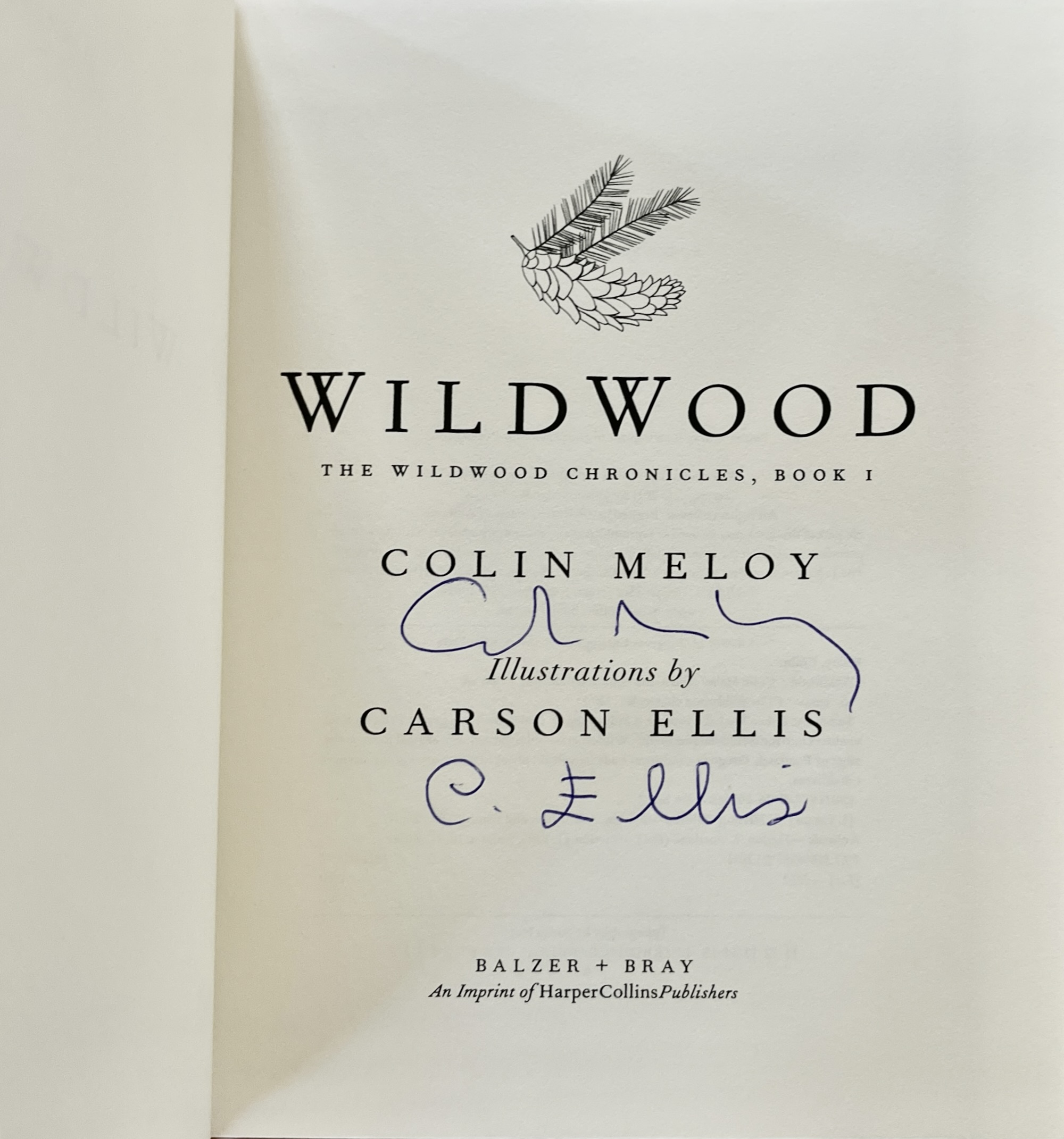 Wildwood (Wildwood Chronicles, 1)