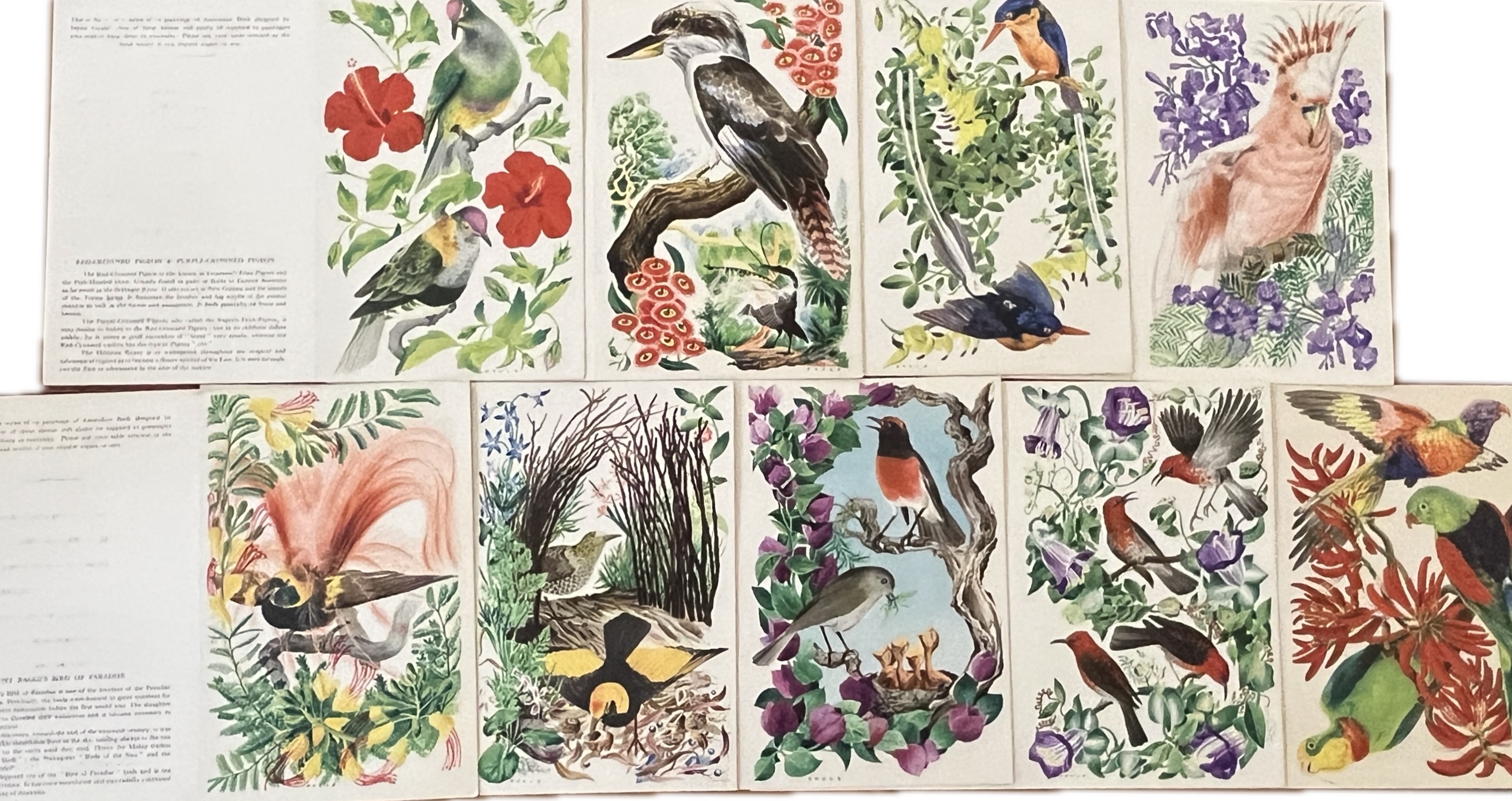 Australian Bird Menus from the P & O Line