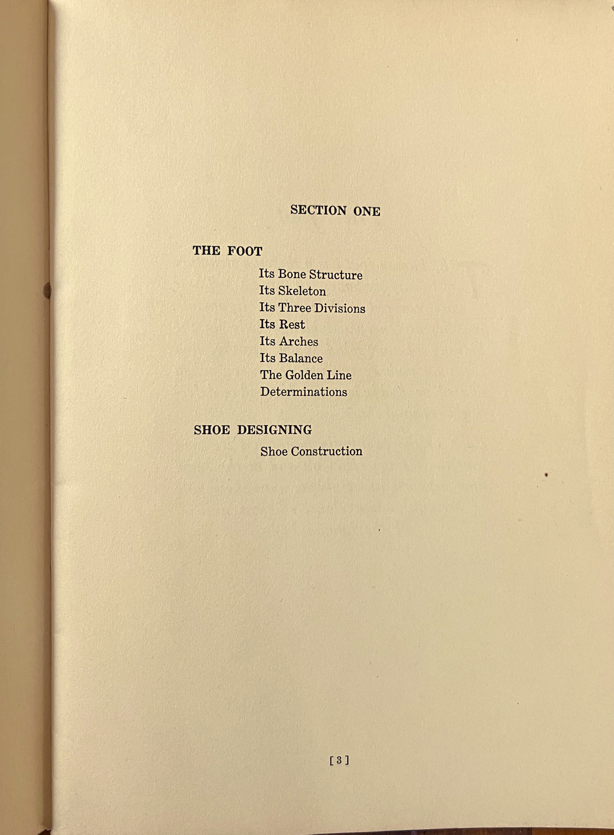 Standards and Ideals of Shoe Repairing