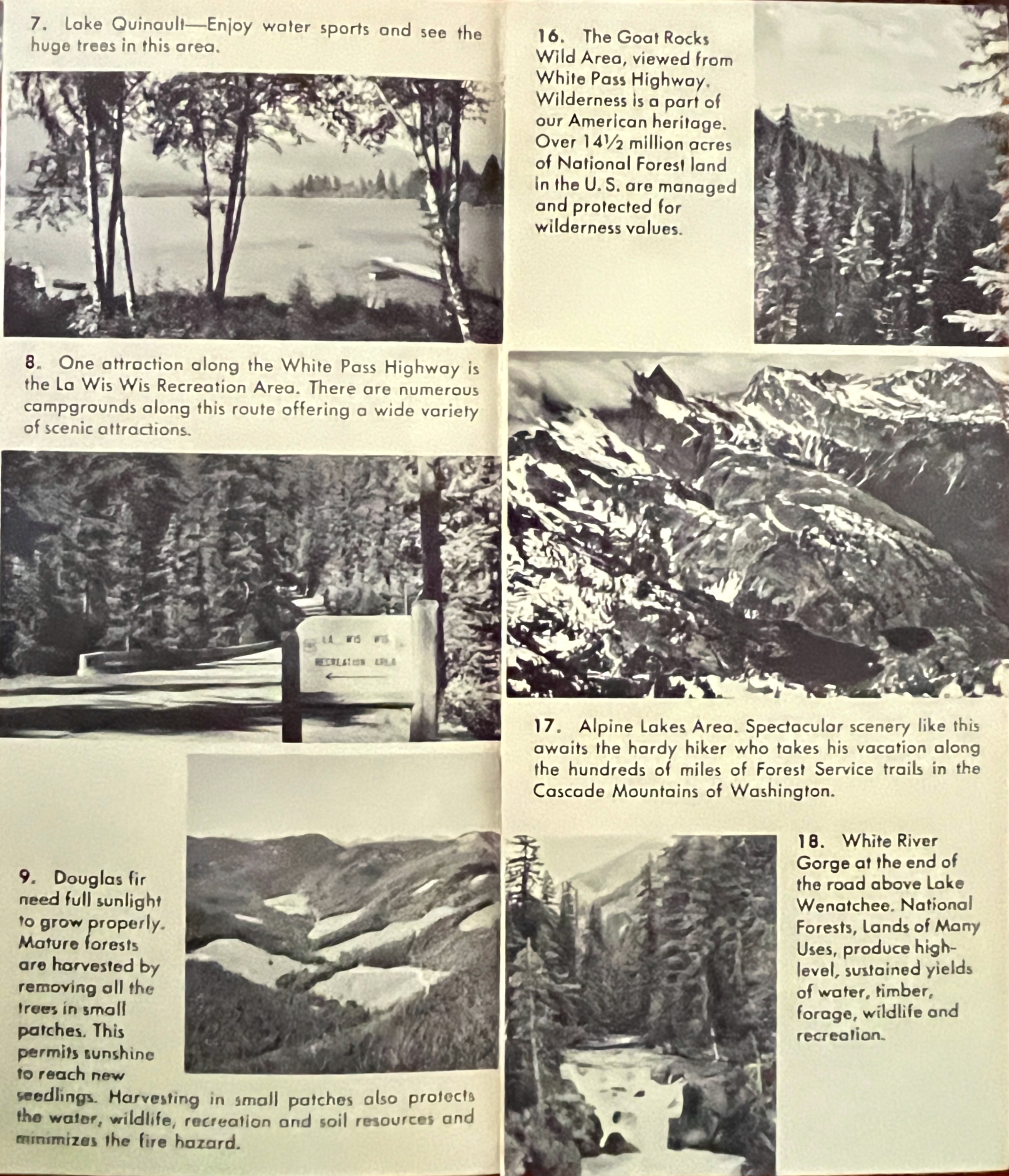 Scenic route through the national forests of Washington