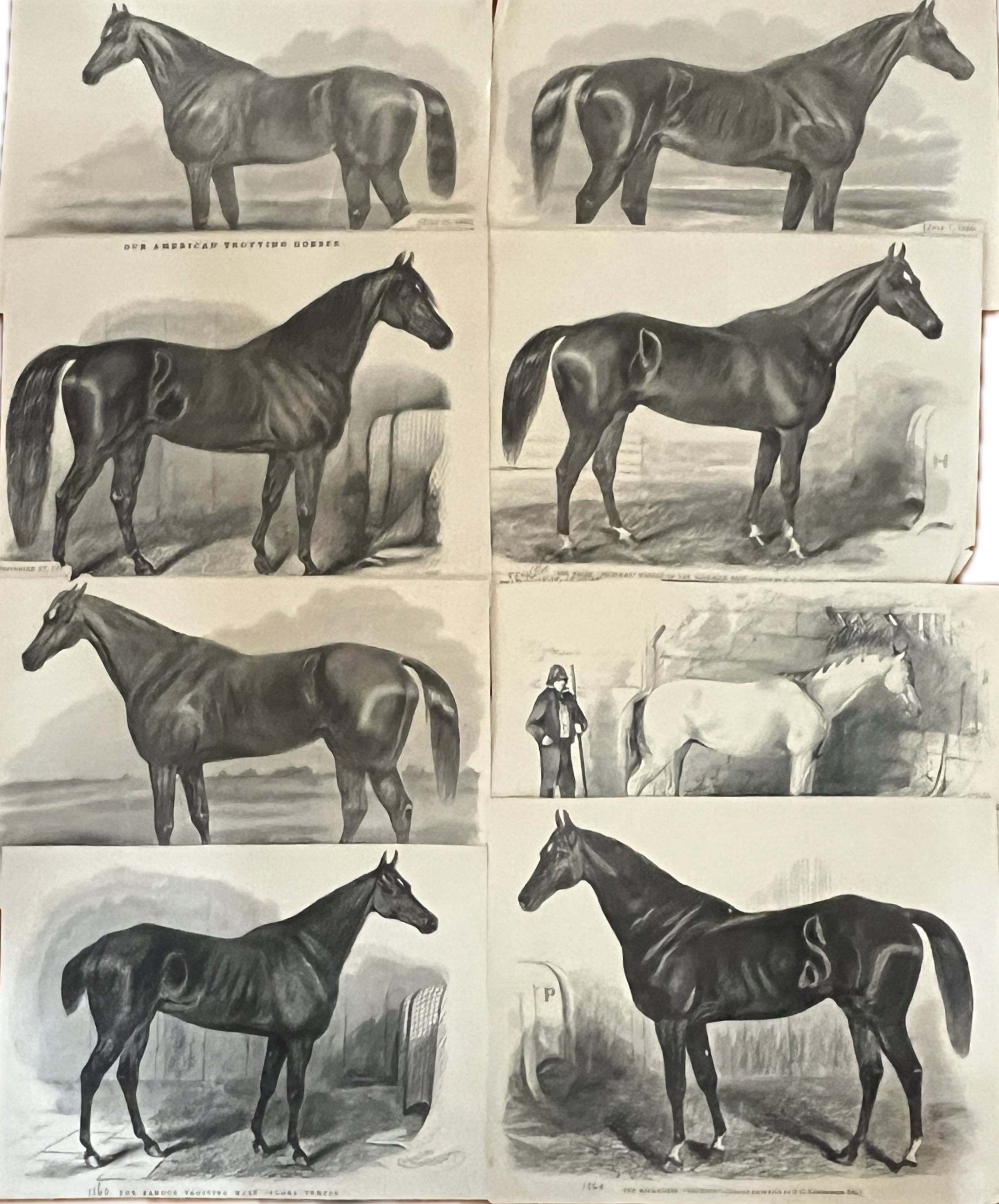 Horse Racing Engravings, Set of 13