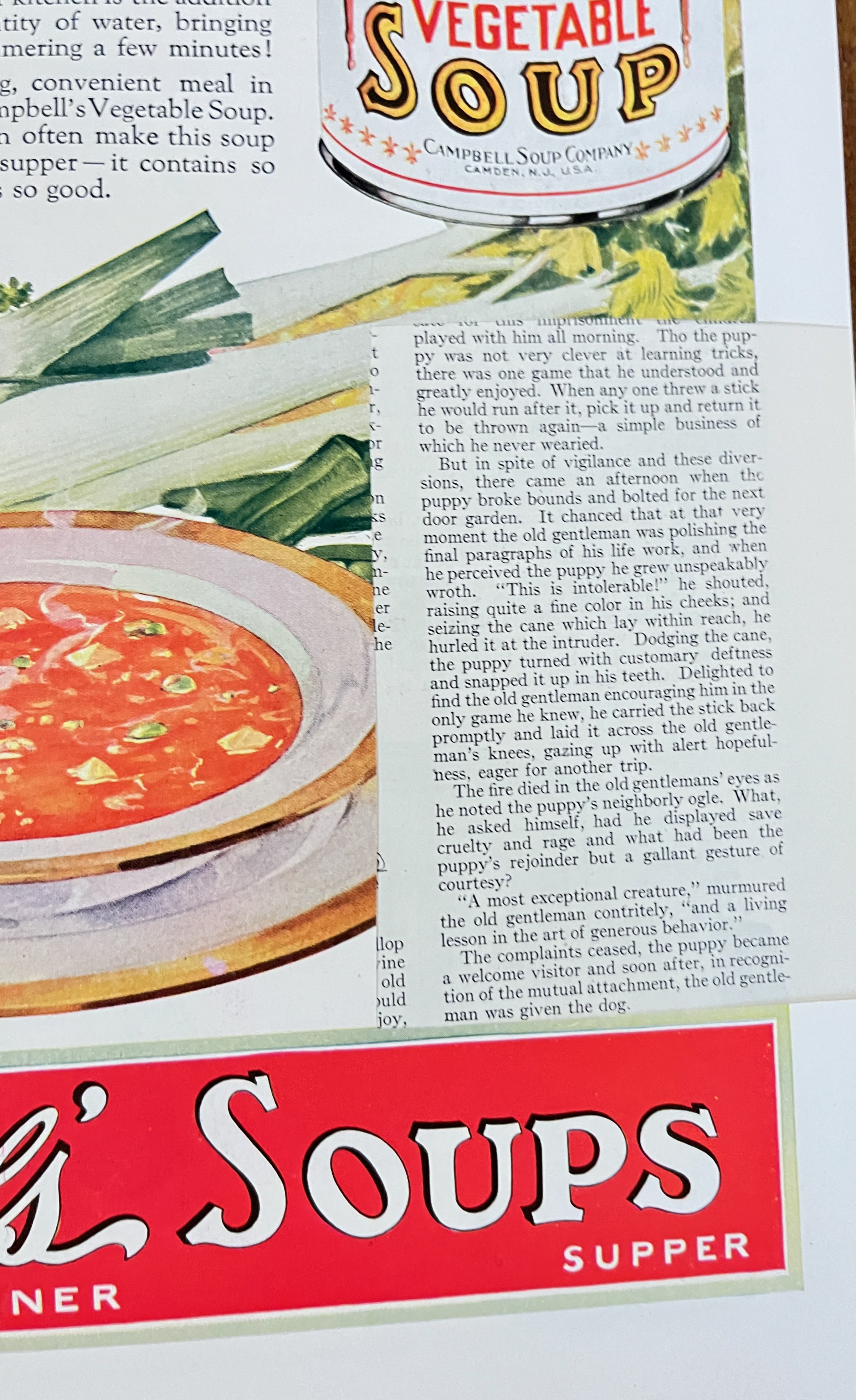 Delineator Magazine August 1928