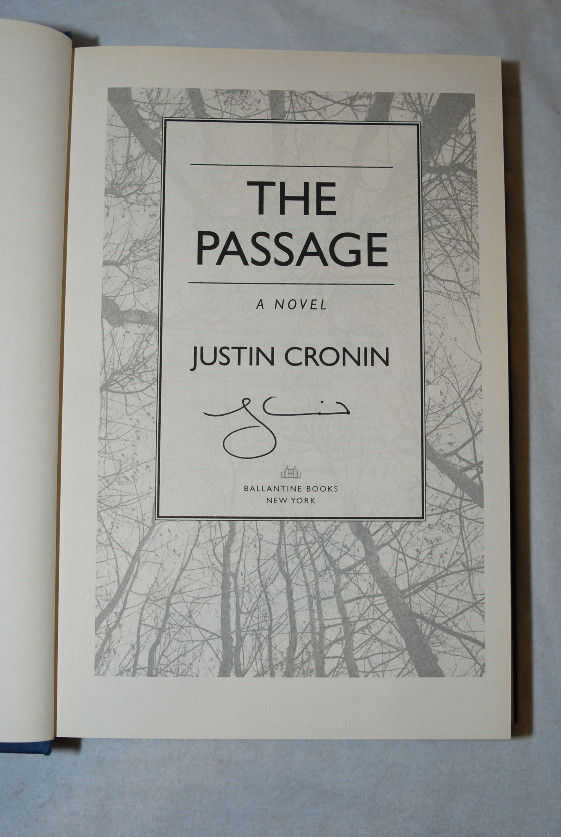 The Passage: A Novel Image for The Passage: A Novel