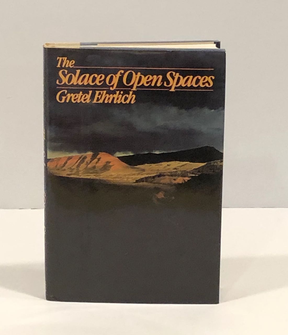 Image for The Solace of Open Spaces