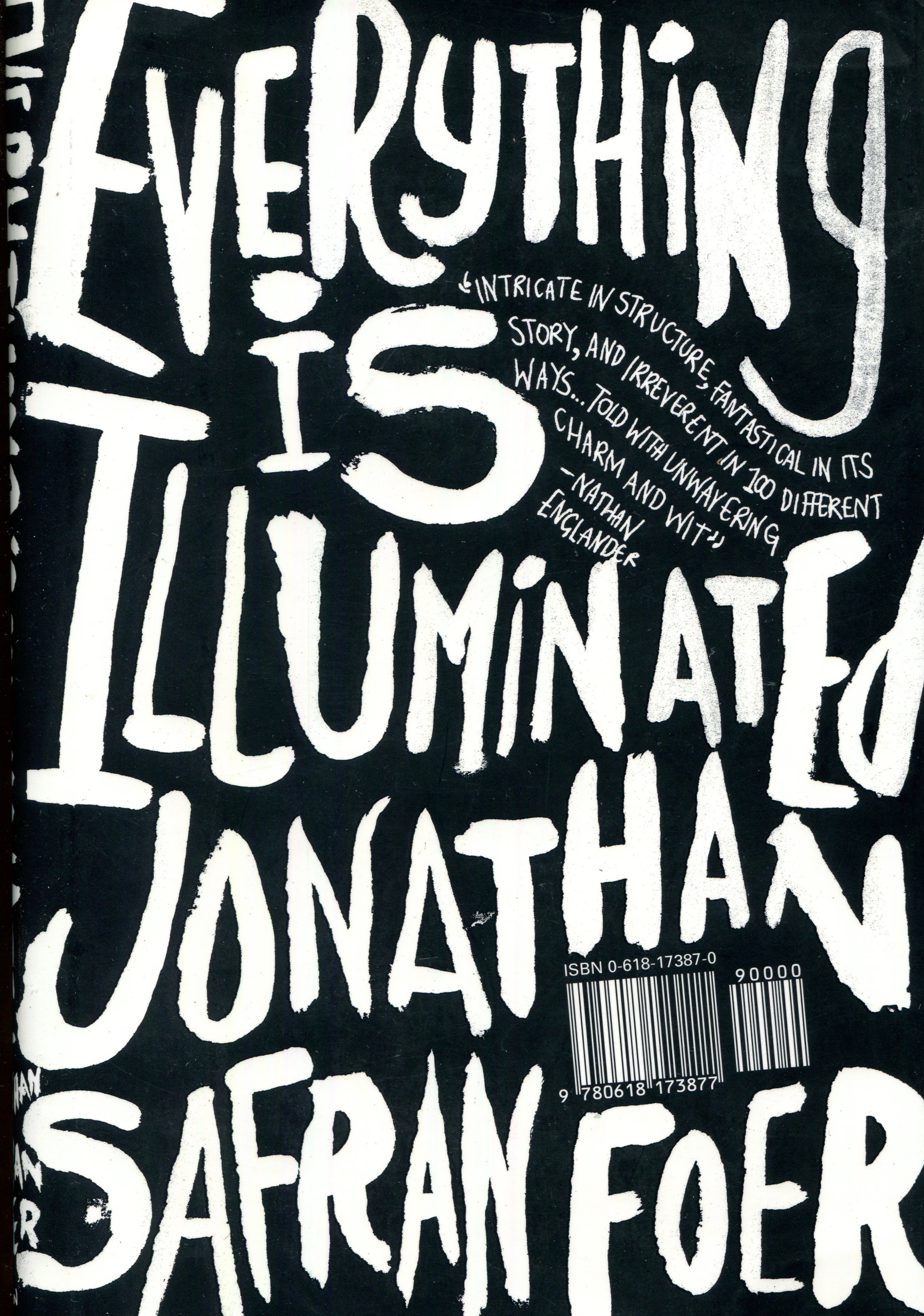 Image for Everything Is Illuminated: A Novel