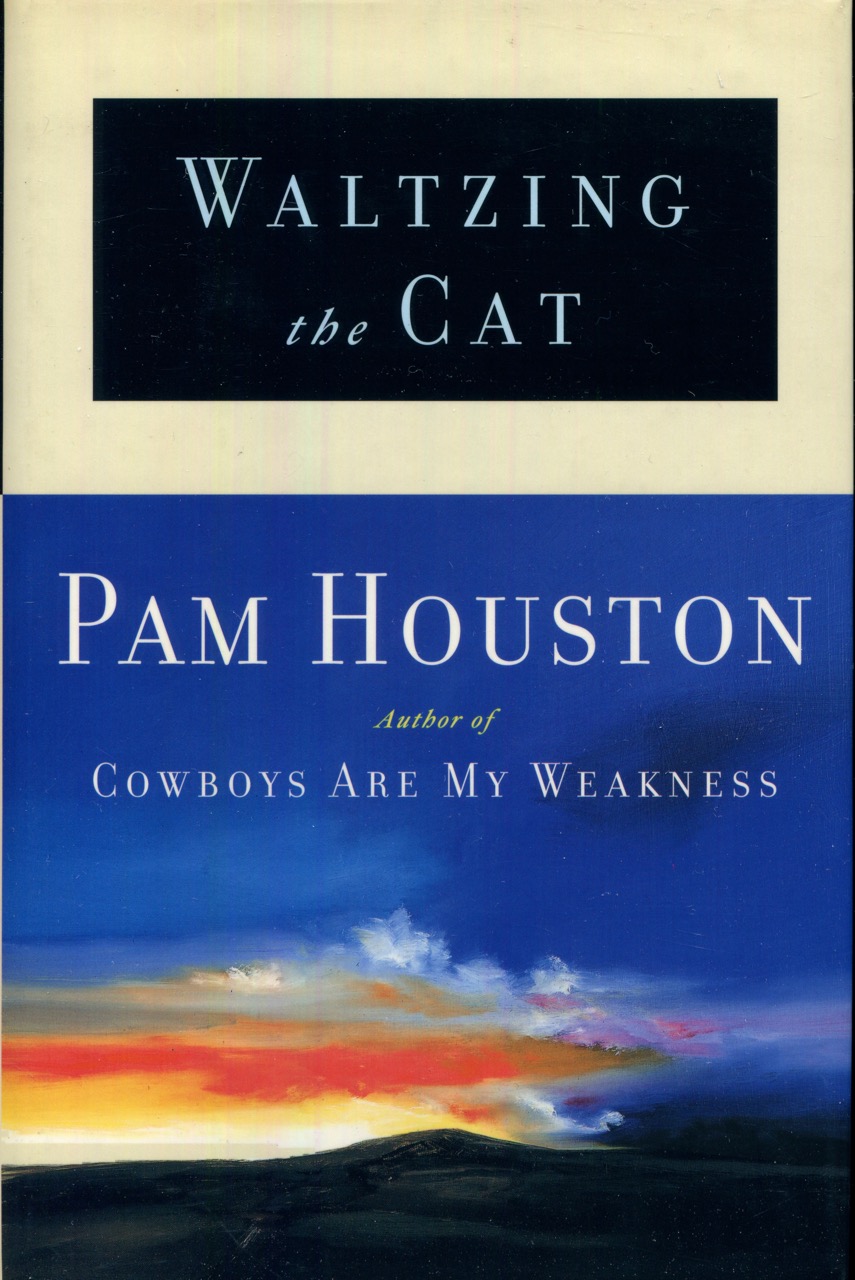 Image for Waltzing the Cat