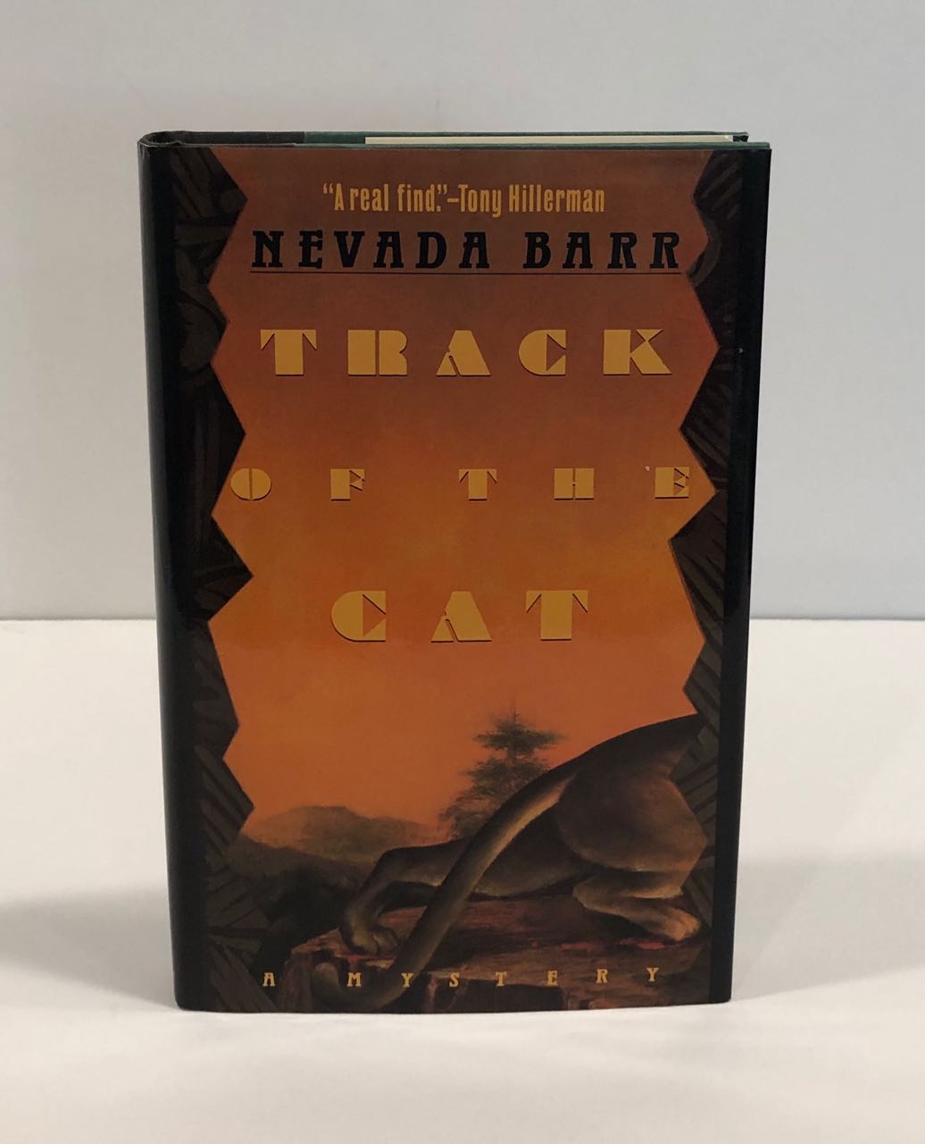 Image for Track of the Cat