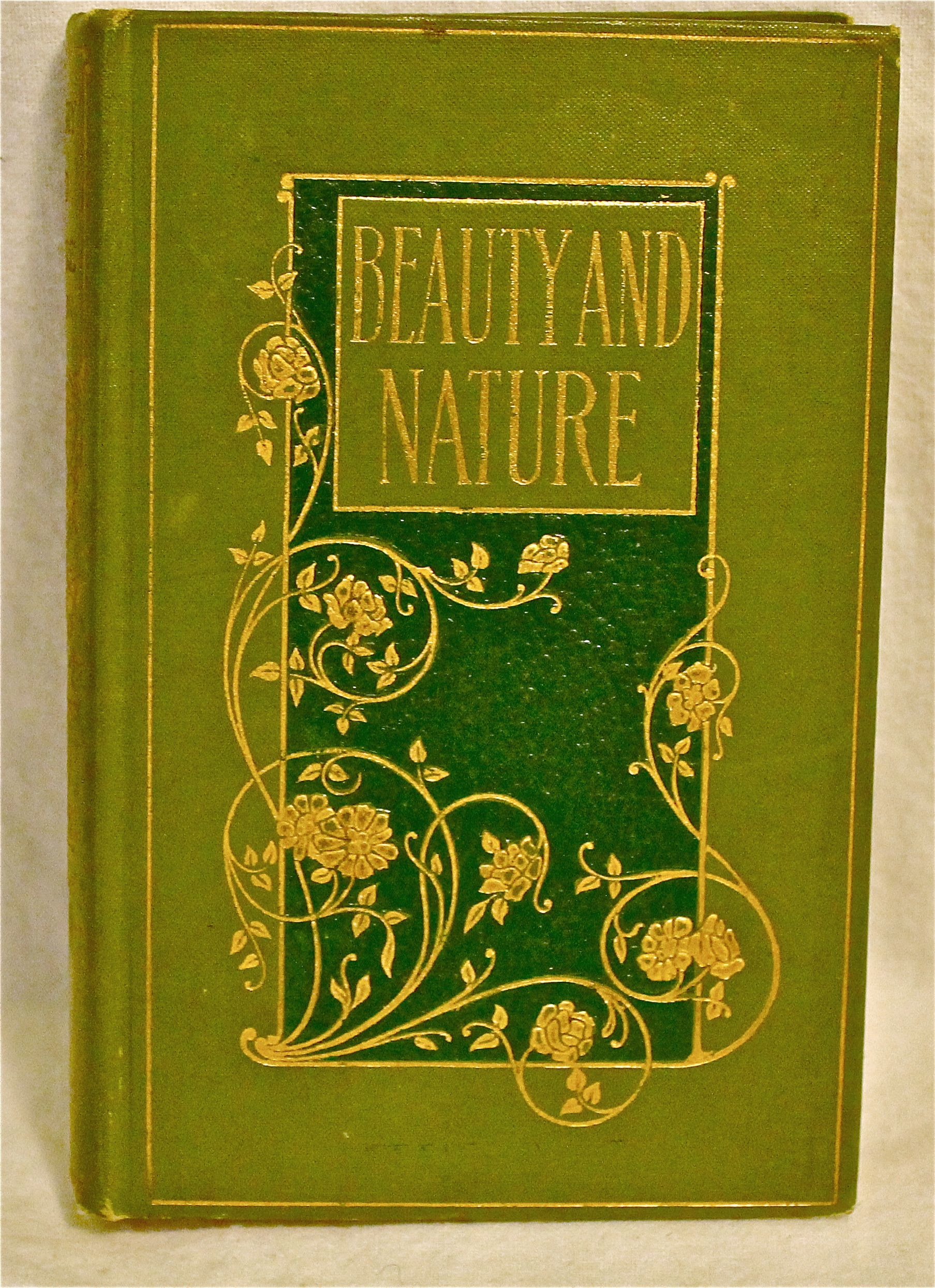 Image for Beauty and Nature
