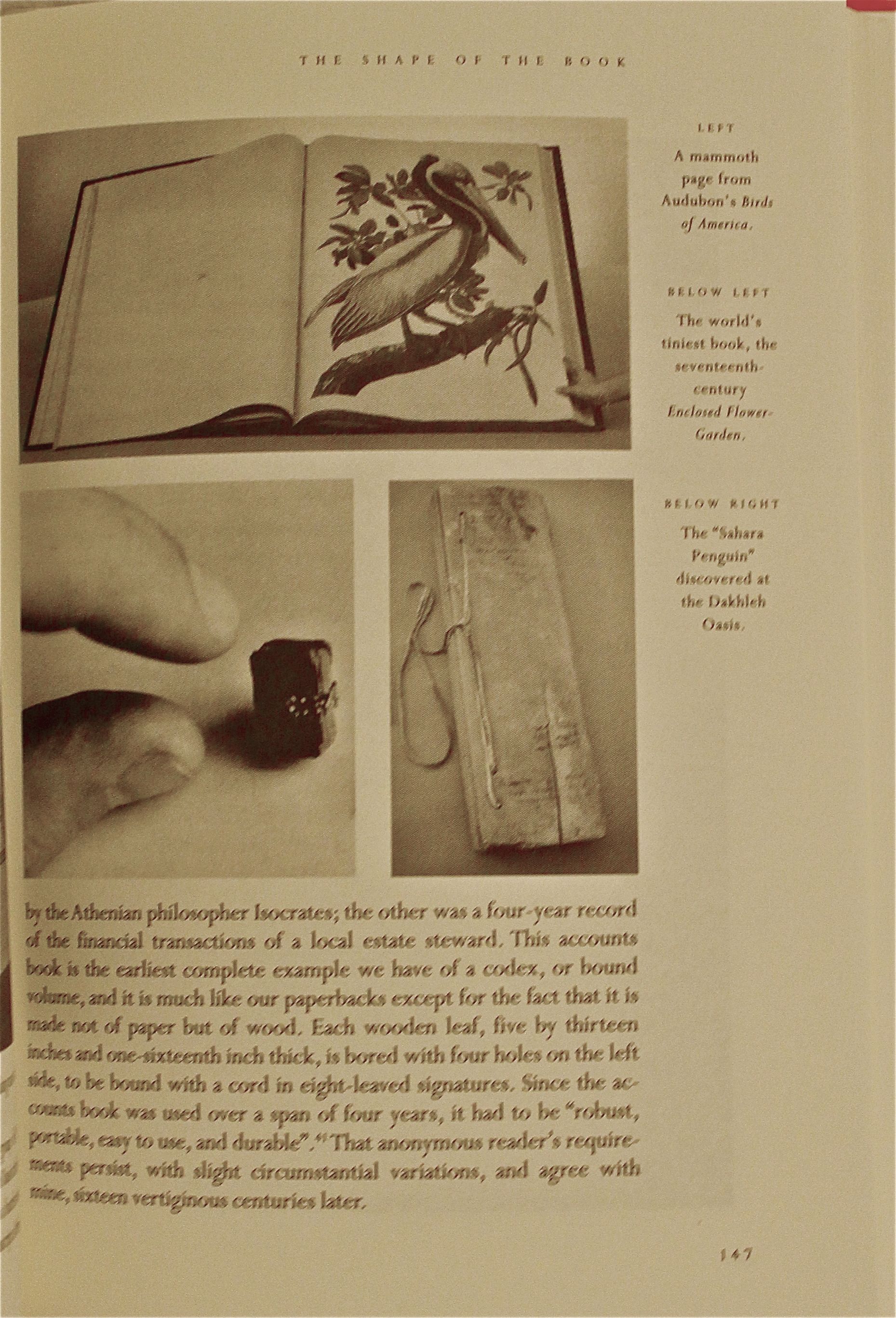 Image for The History of Reading